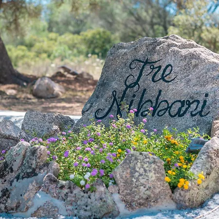 Tre Nibbari