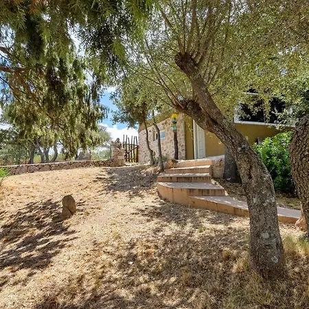 Tre Nibbari * San Pantaleo